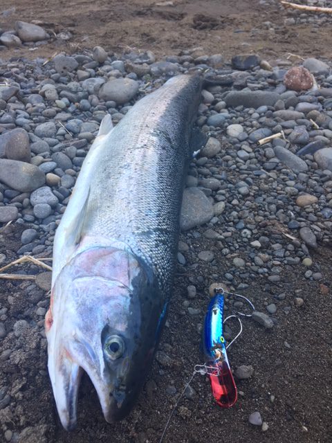 How to Pick the Best Plug Color for Steelhead